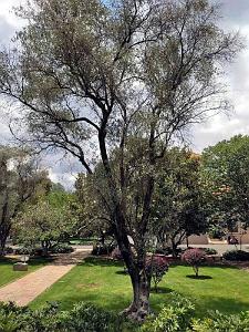Kunming - Universite du Yunnan (36)